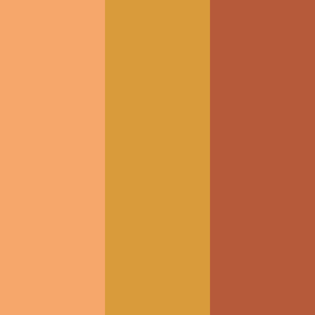 Download amber embrace color palette PNG image (square)