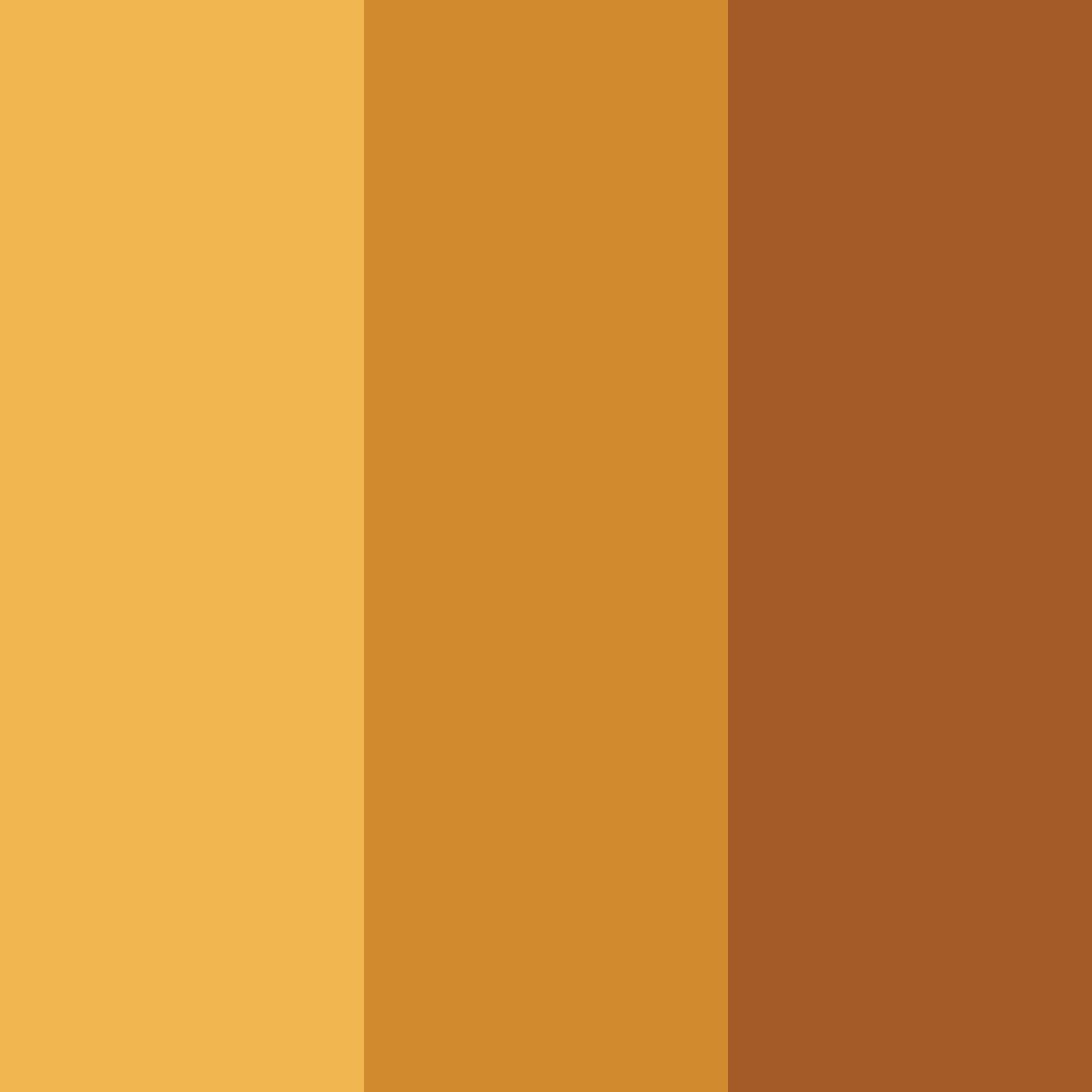 Download amber rust color palette PNG image (square)