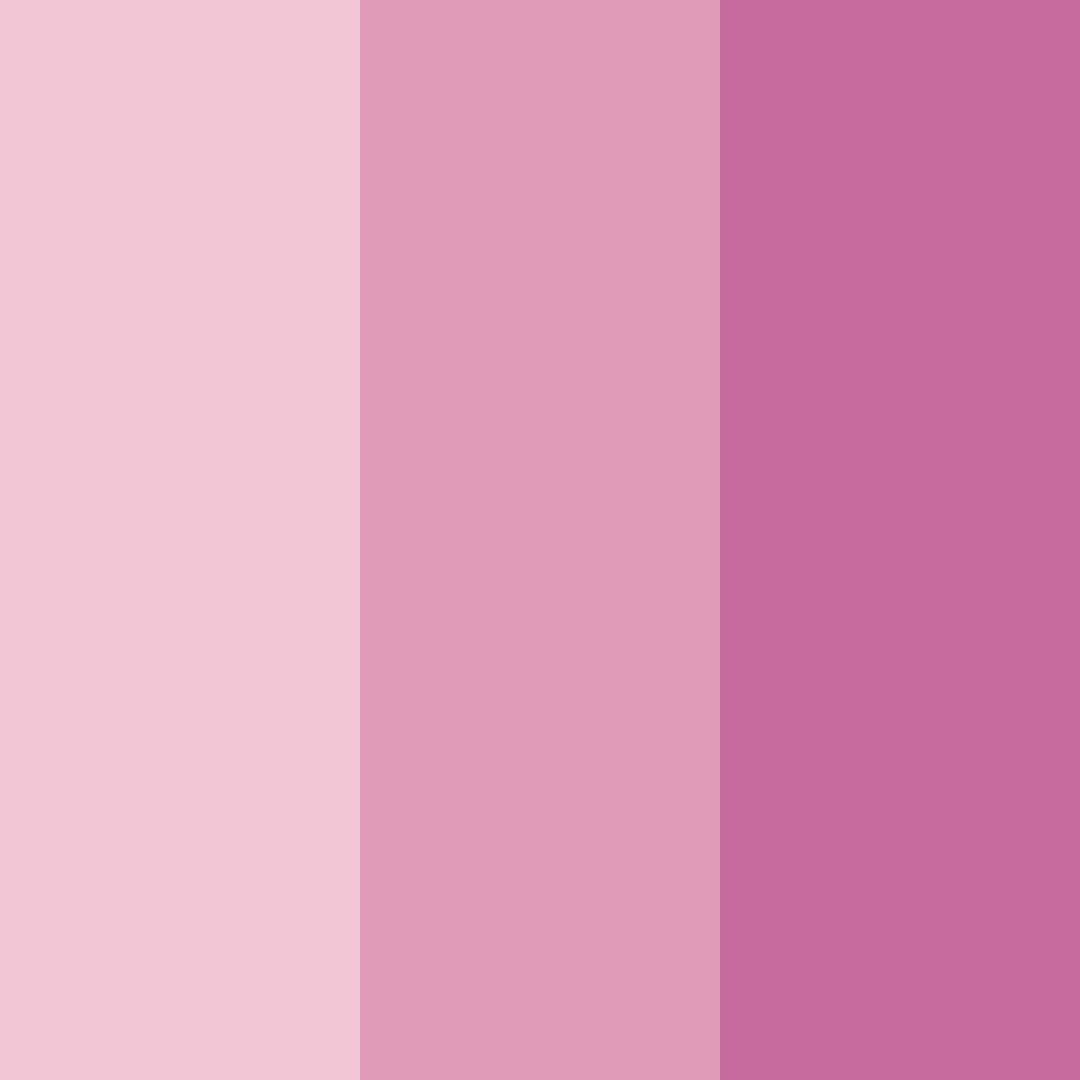 Download cherry blossom dreams color palette PNG image (square)