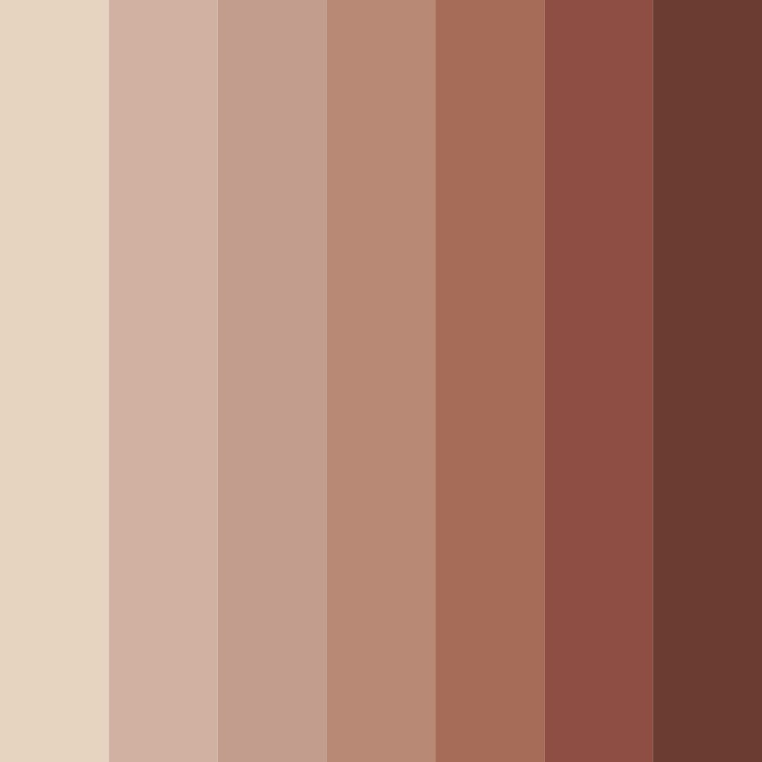 Download terra elegante color palette PNG image (square)