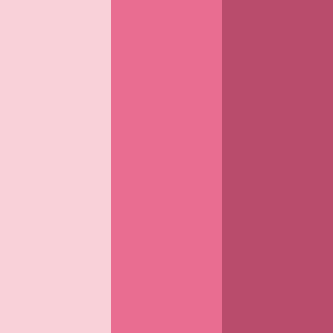 Download blushing reverie color palette PNG image (square)