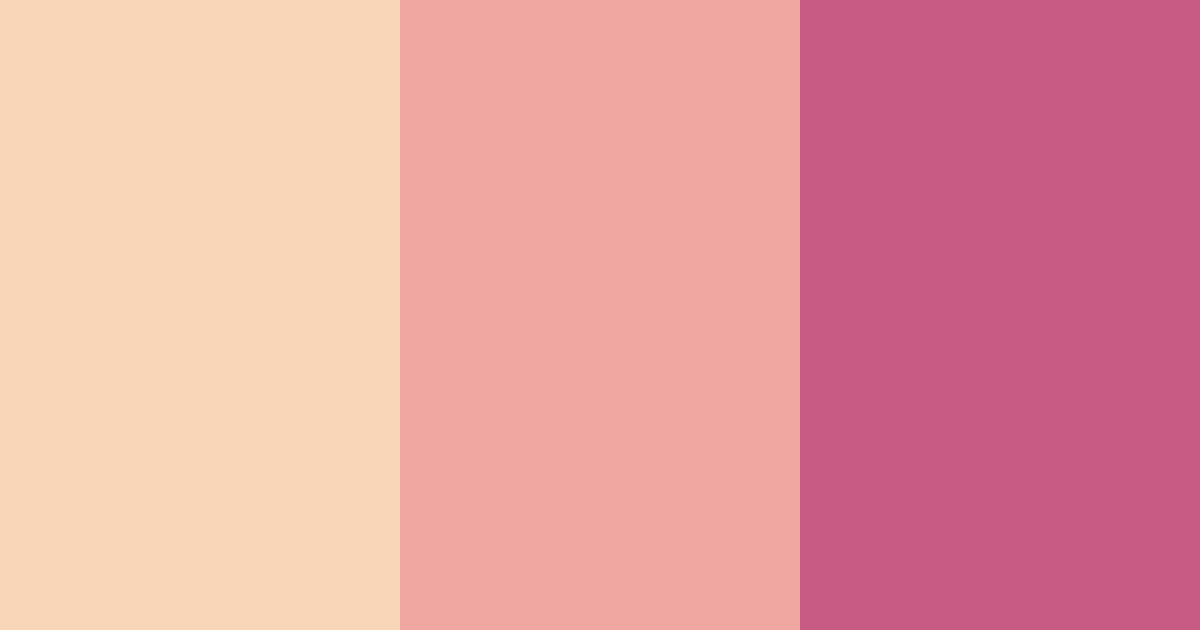 Download peachy pink color palette PNG image (landscape)