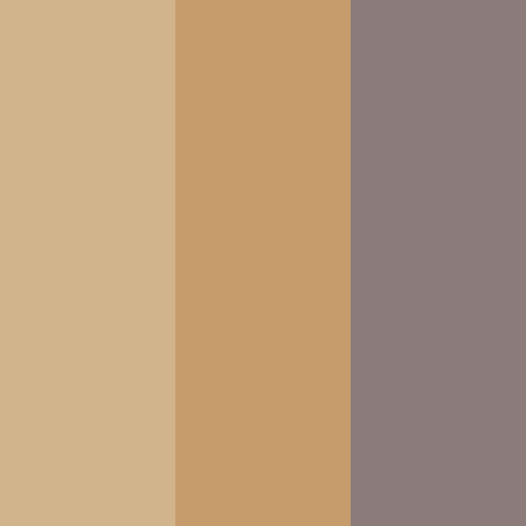 Download warm brown shades color palette PNG image (square)
