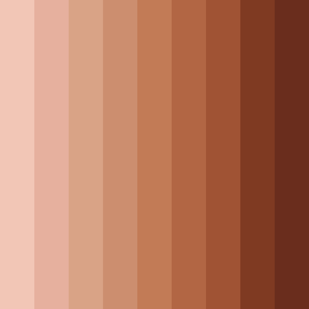 Download desert sunset ember color palette PNG image (square)