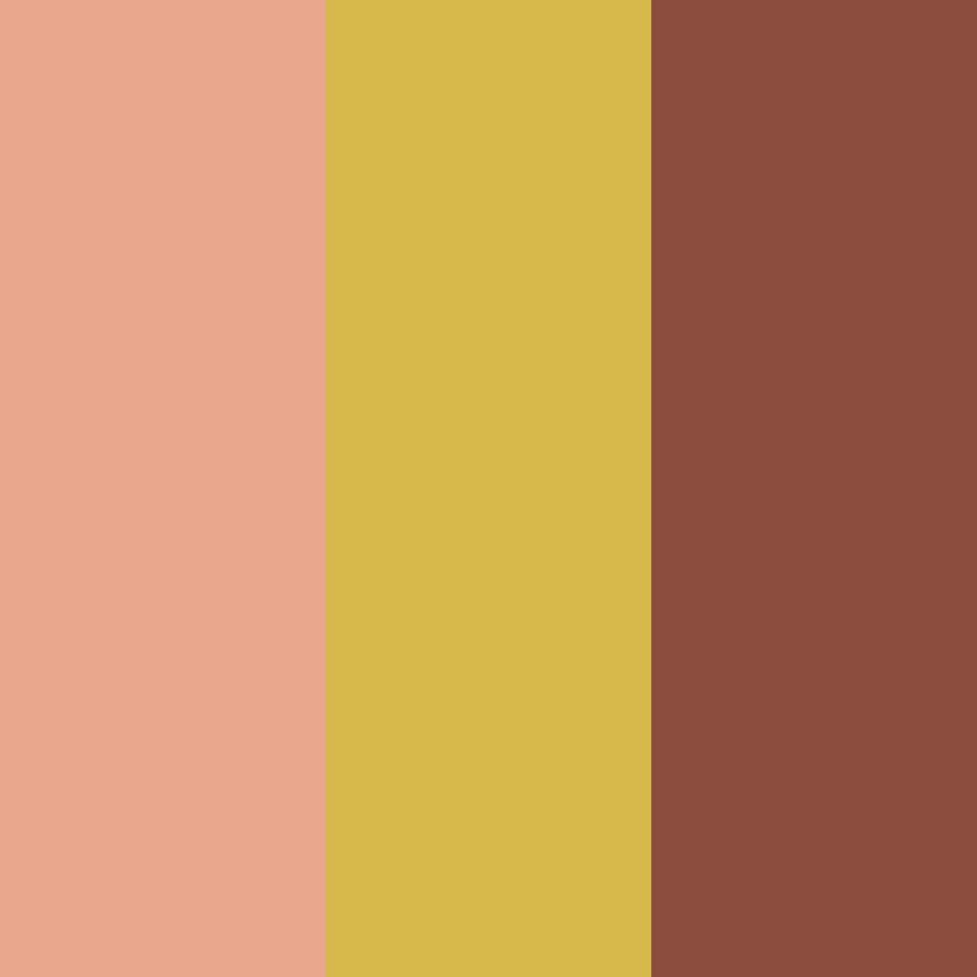 Download rusty orange color palette PNG image (square)