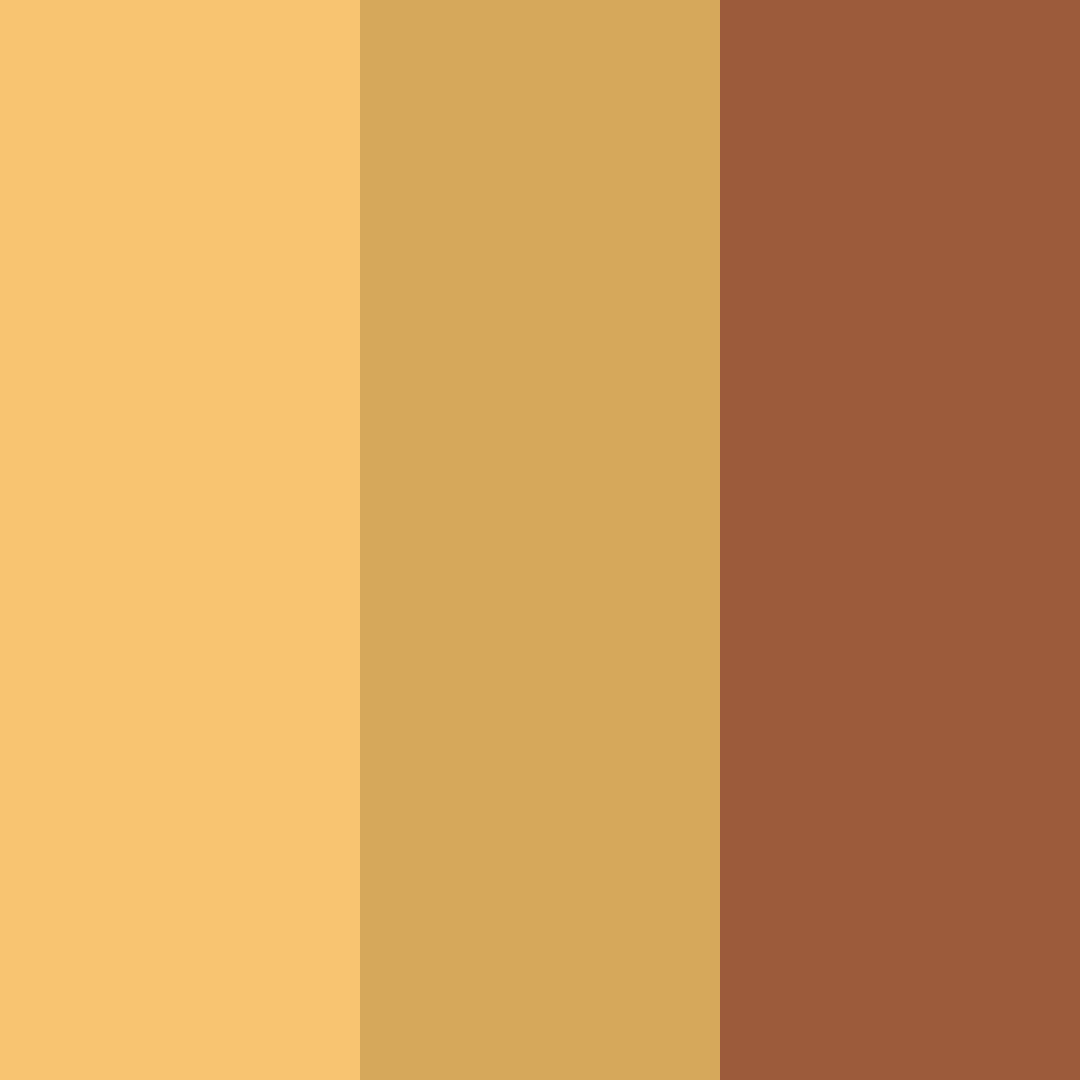 Download rustic gold color palette PNG image (square)