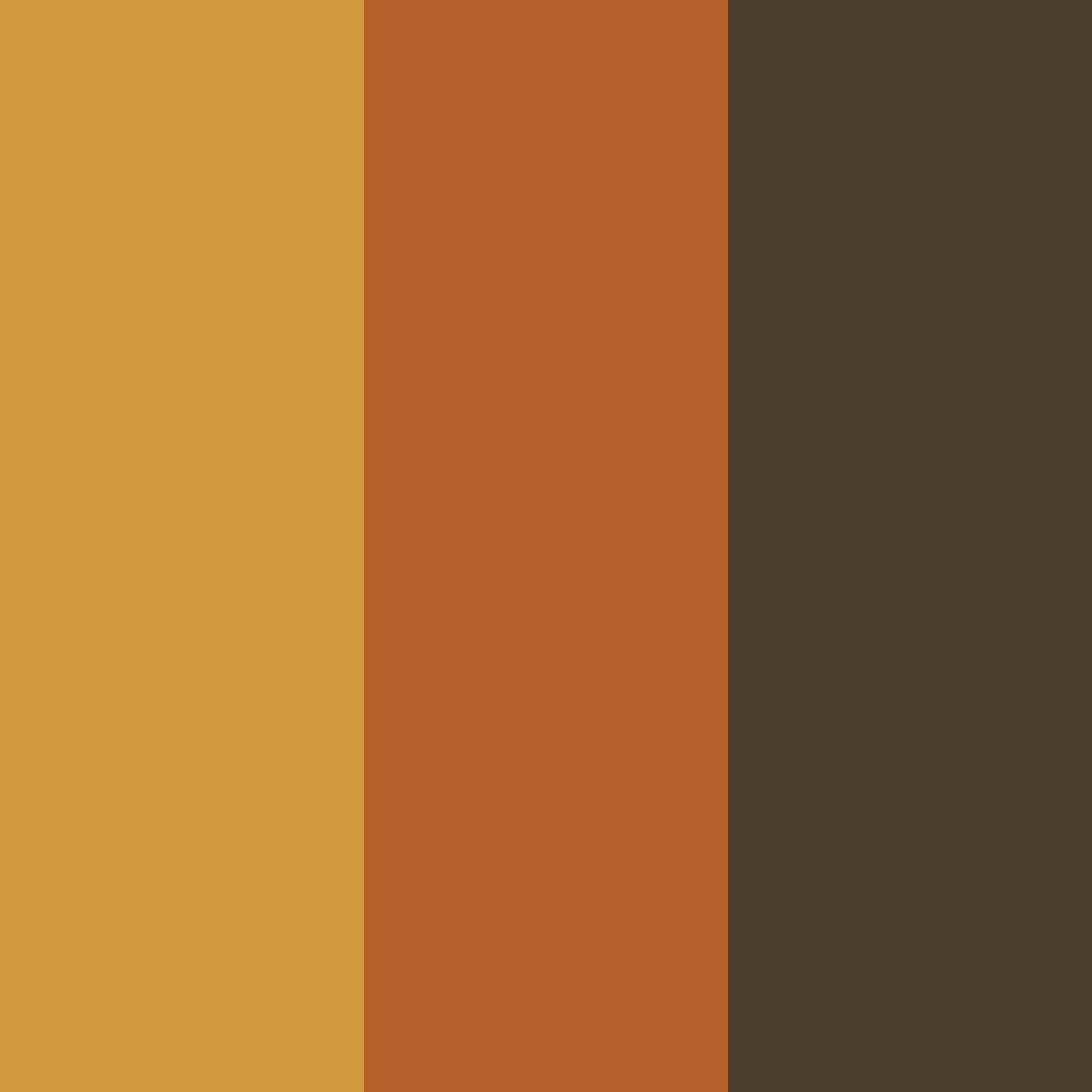 Download rusty orange color palette PNG image (square)