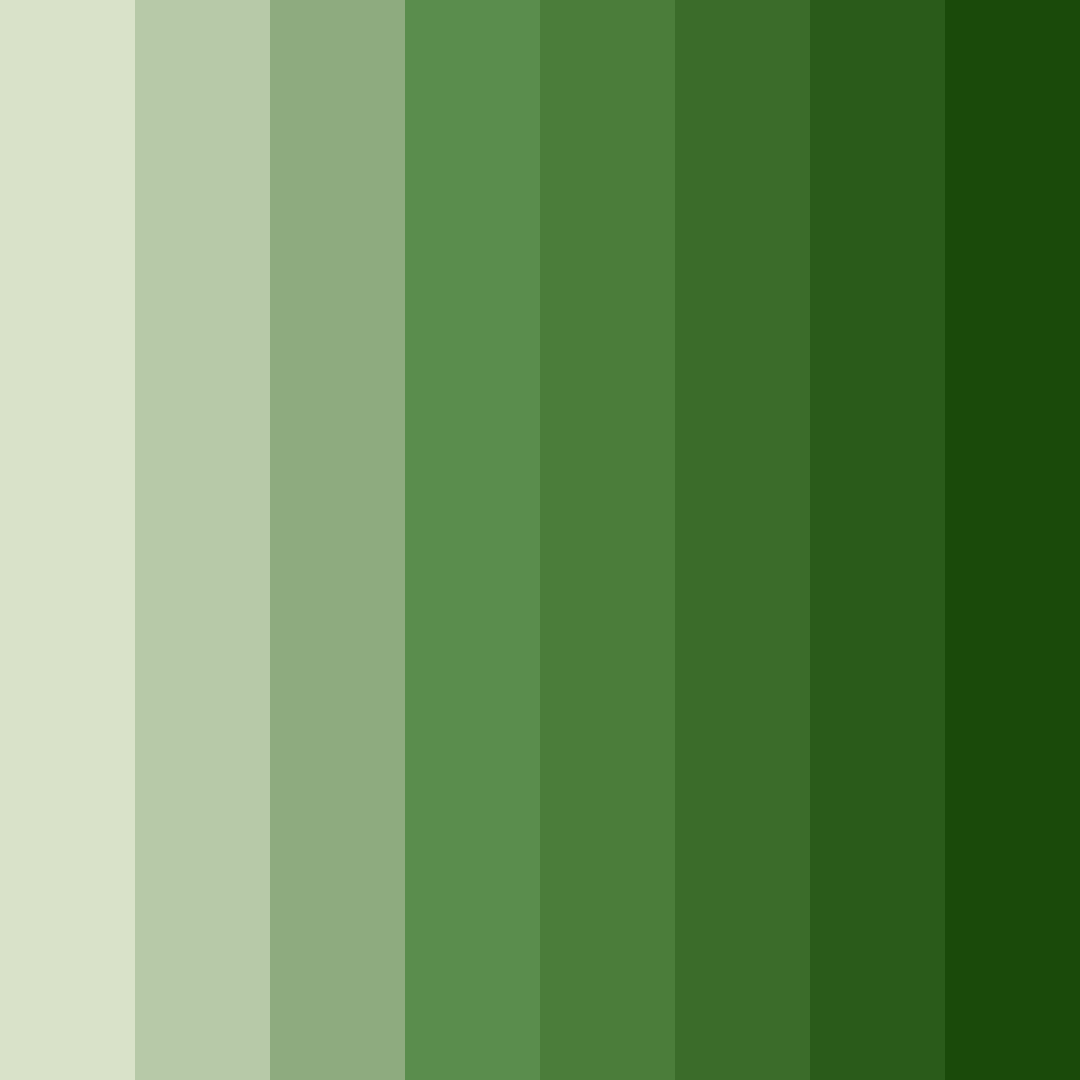 Download mossy haven color palette PNG image (square)