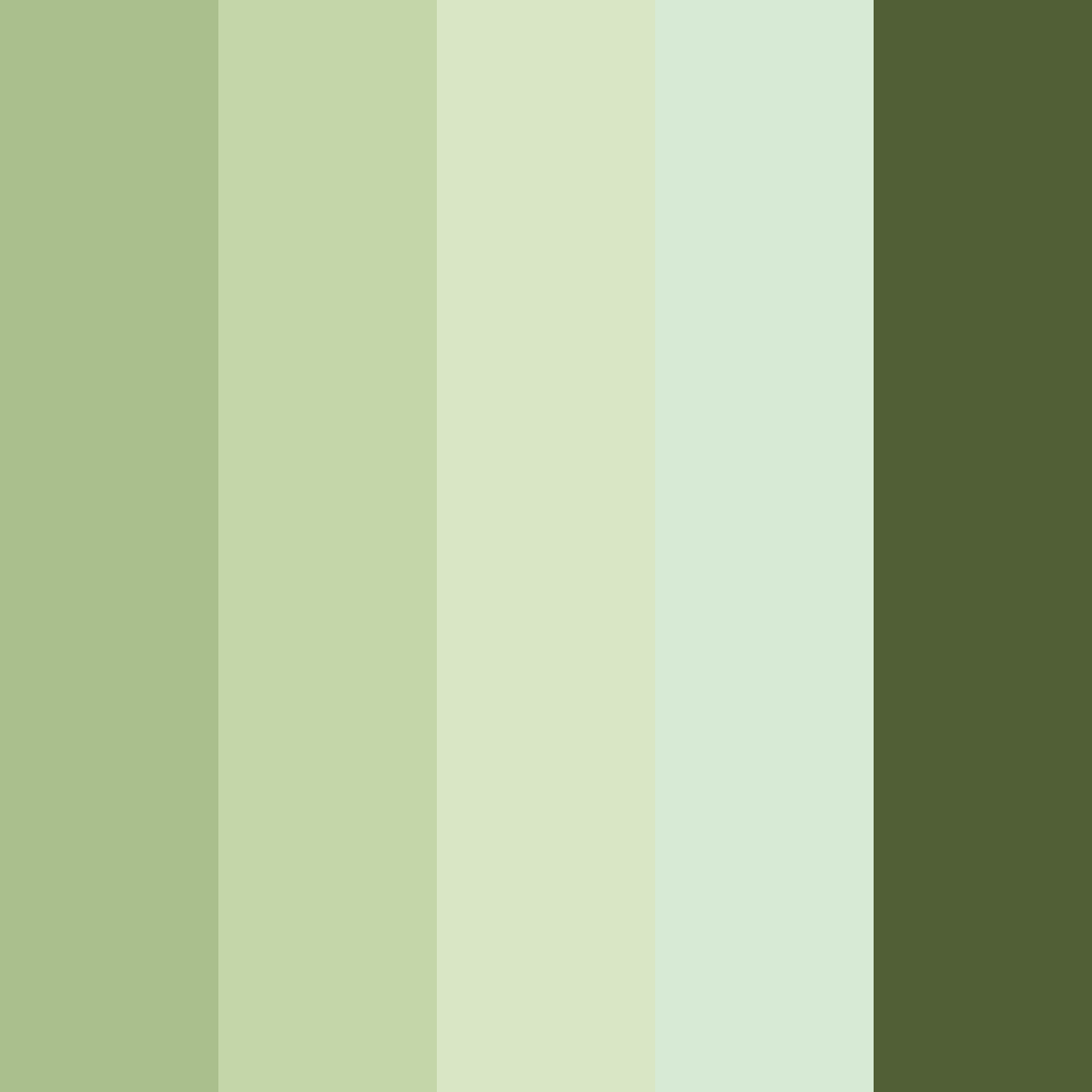 Download forest whisper color palette PNG image (square)