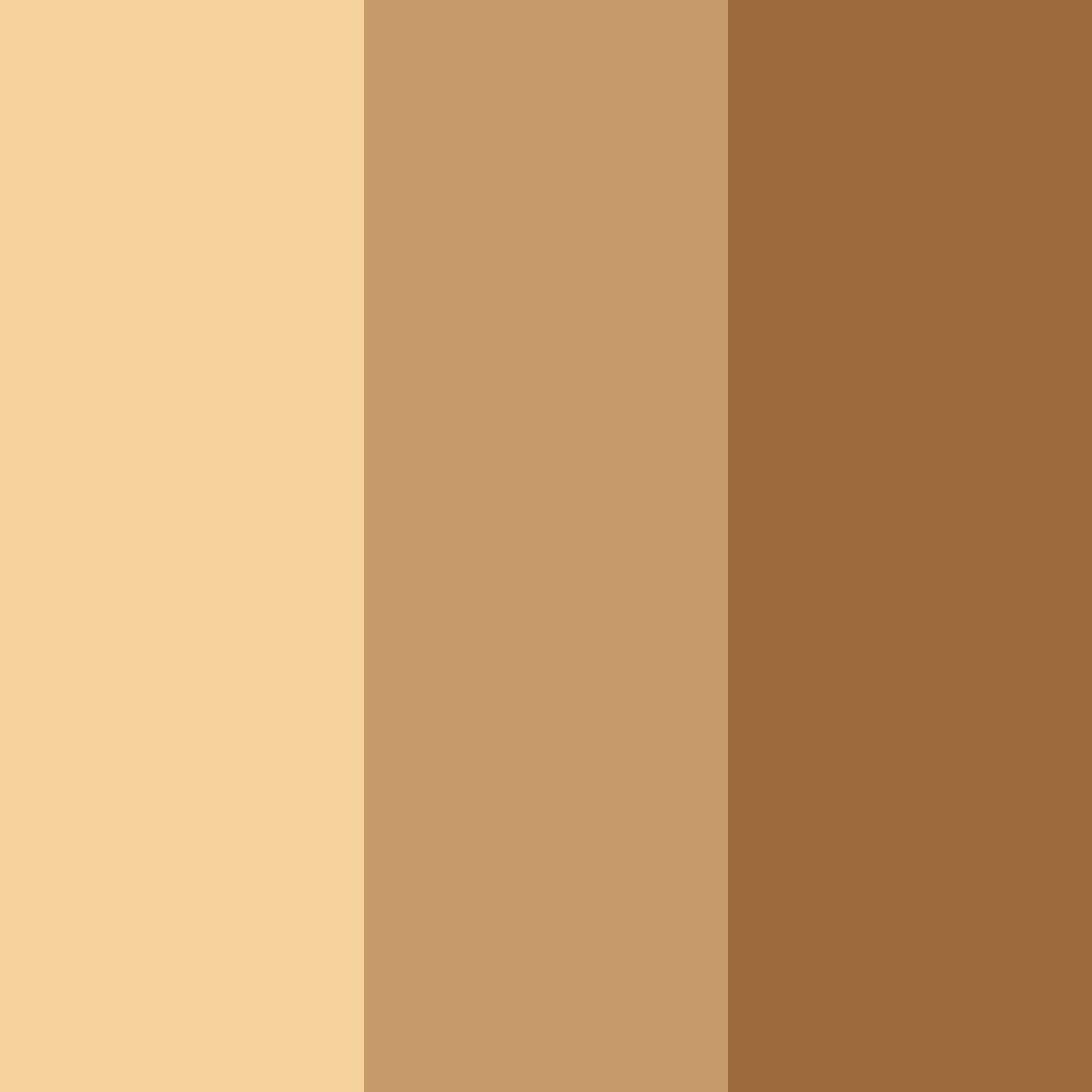 Download golden cinnamon color palette PNG image (square)