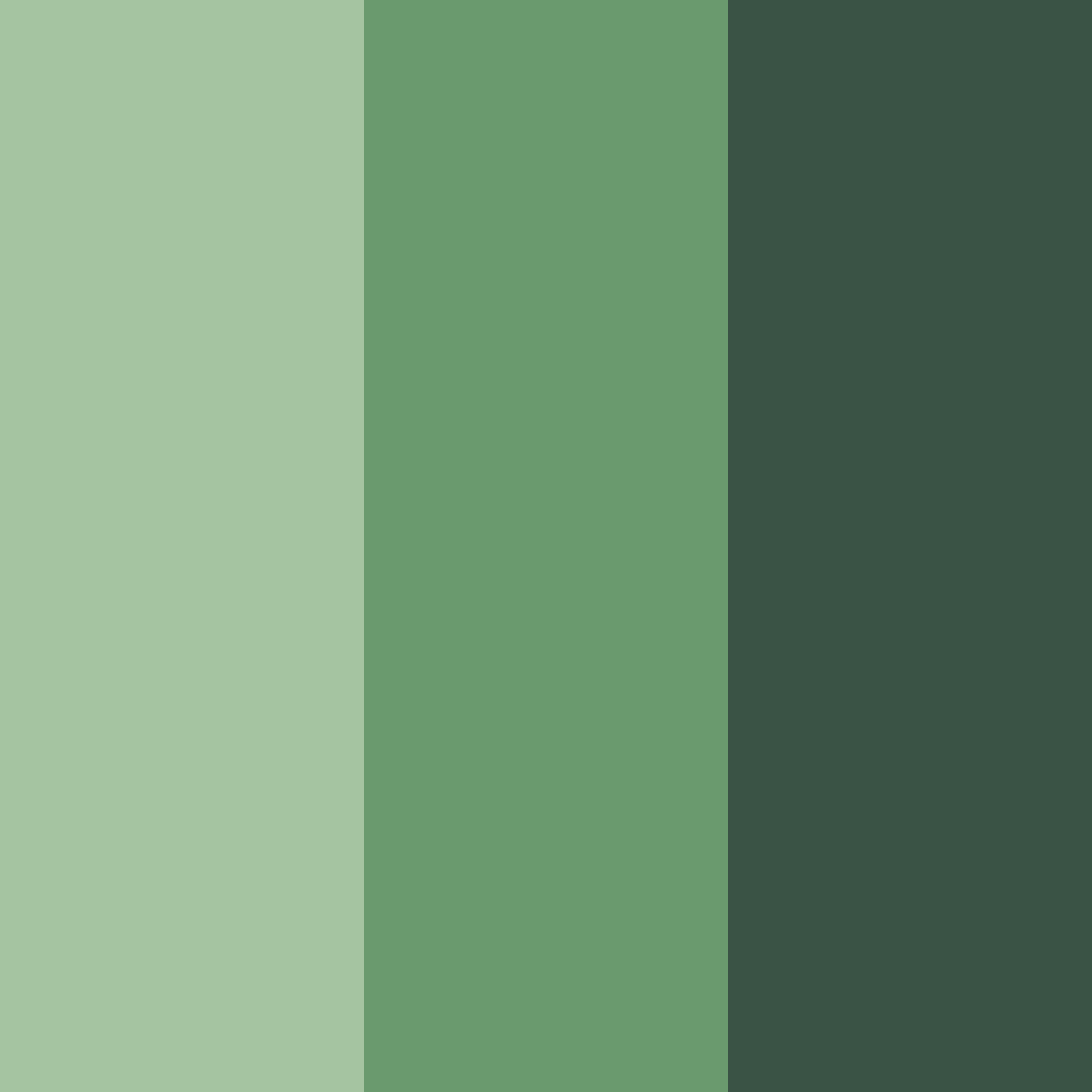 Download dark green forest color palette PNG image (square)