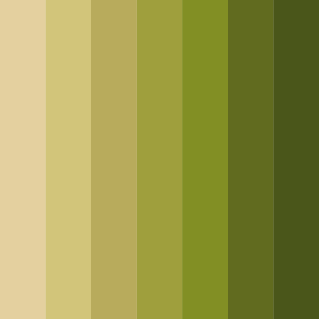 Download mossy meadow harmony color palette PNG image (square)