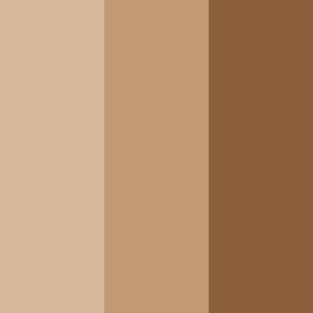 Download rustic elegance color palette PNG image (square)