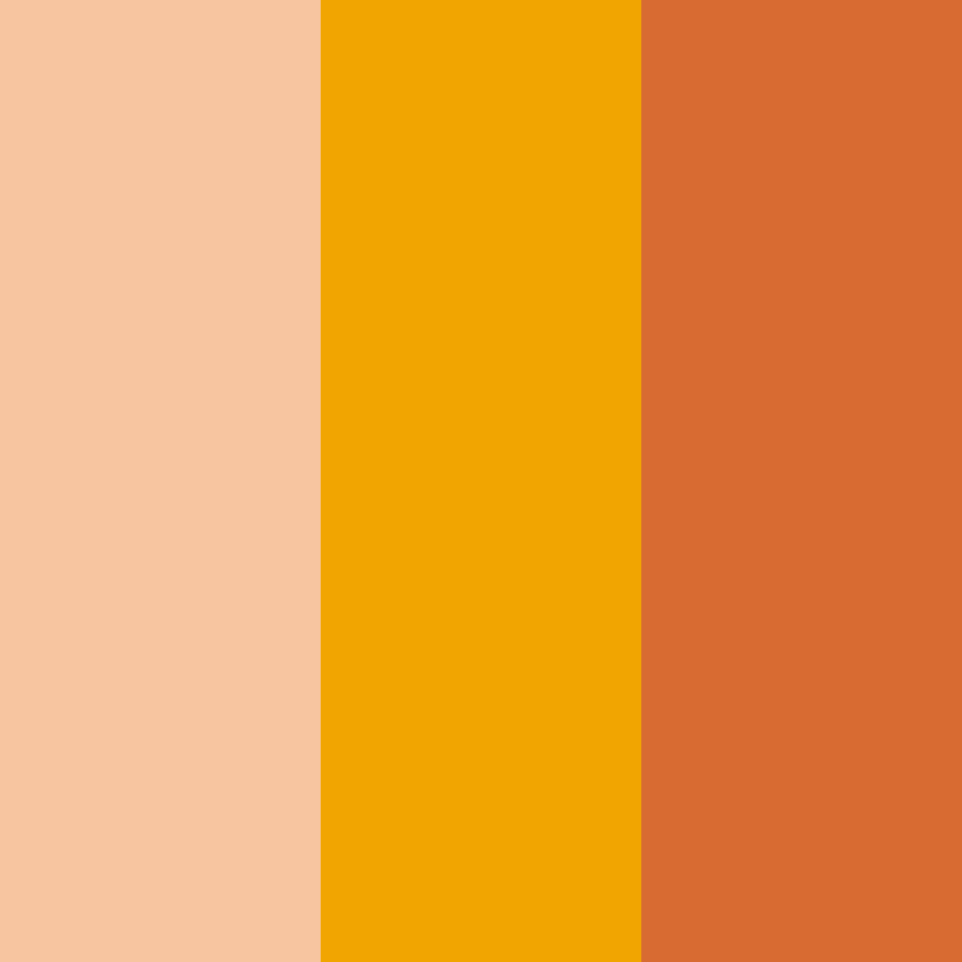 Download peachy warmth color palette PNG image (square)