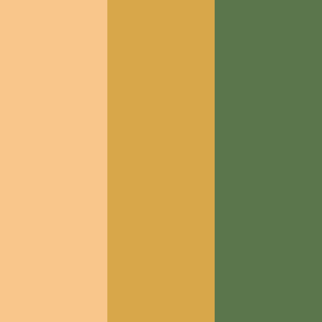 Download amber maple color palette PNG image (square)