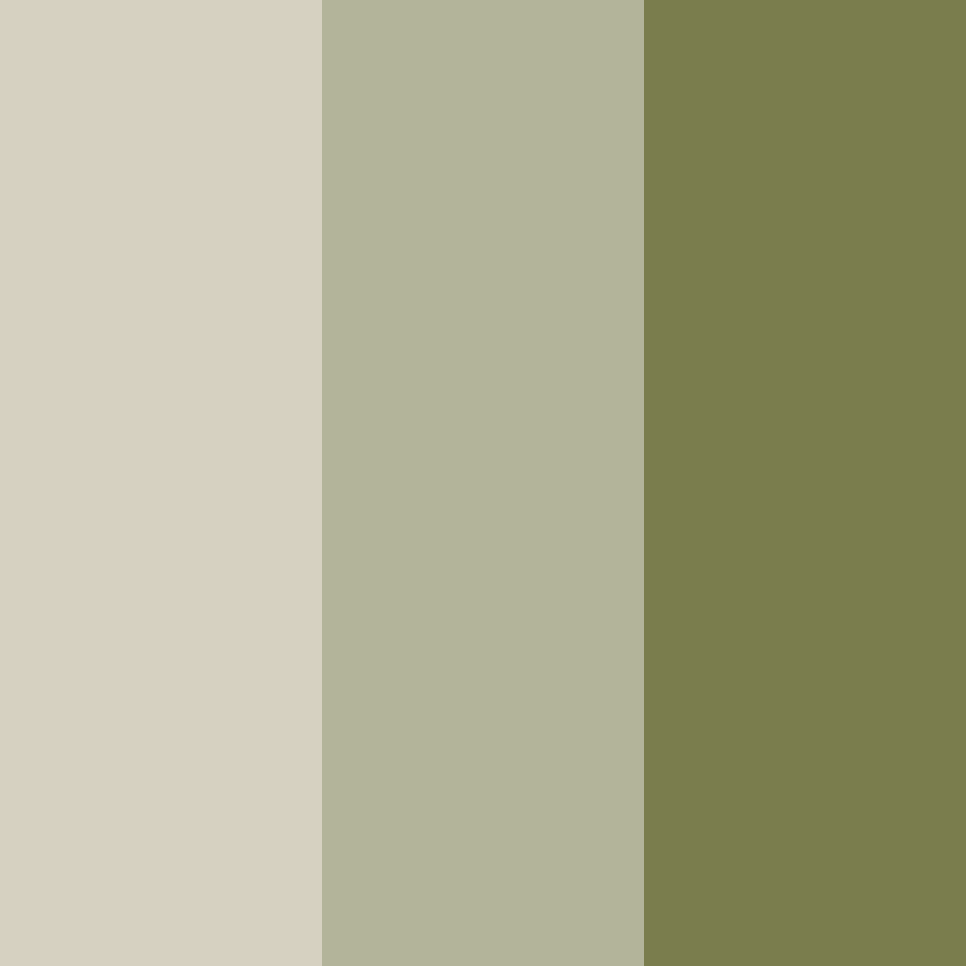 Download gray olive color palette PNG image (square)