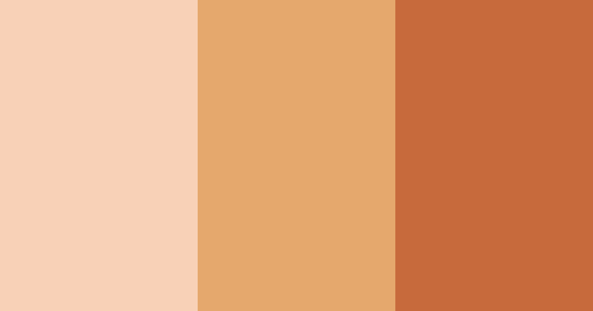 Download peach rust color palette PNG image (landscape)