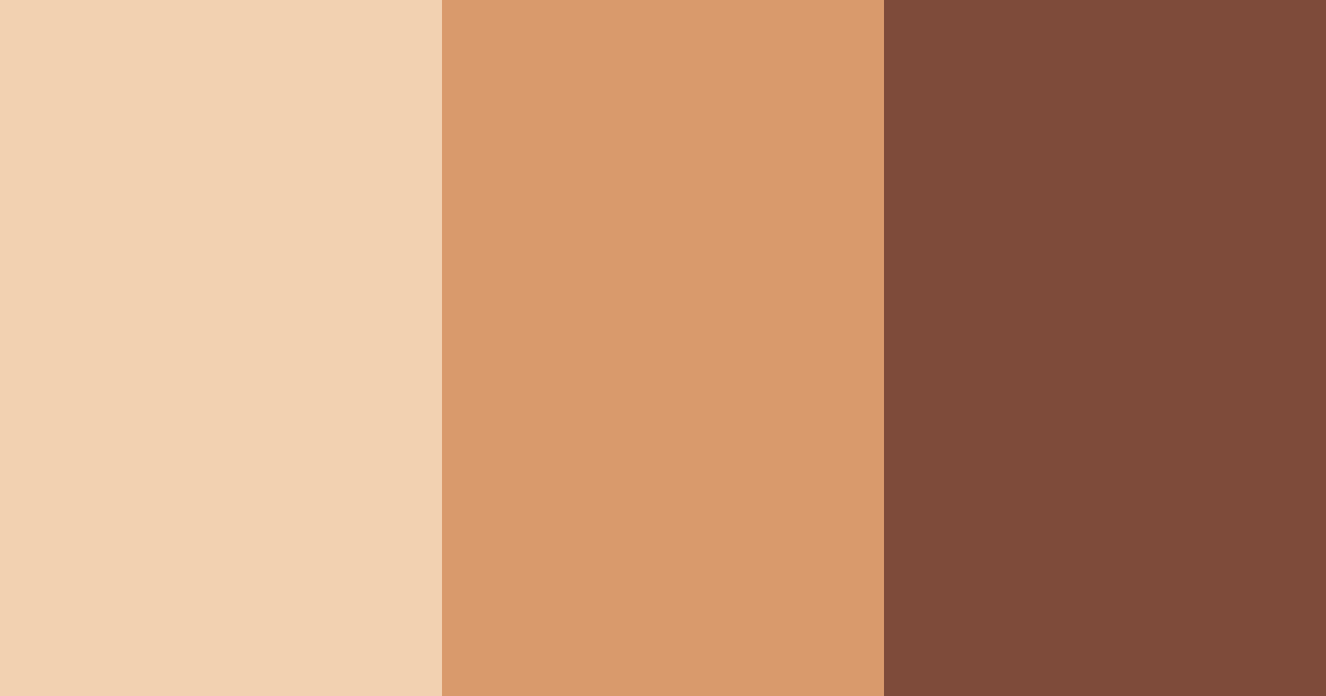 Download cinnamon sunset color palette PNG image (landscape)