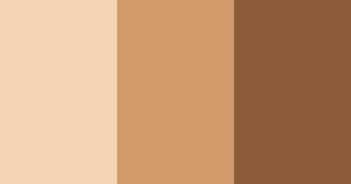 Download peachy cinnamon color palette PNG image (landscape)