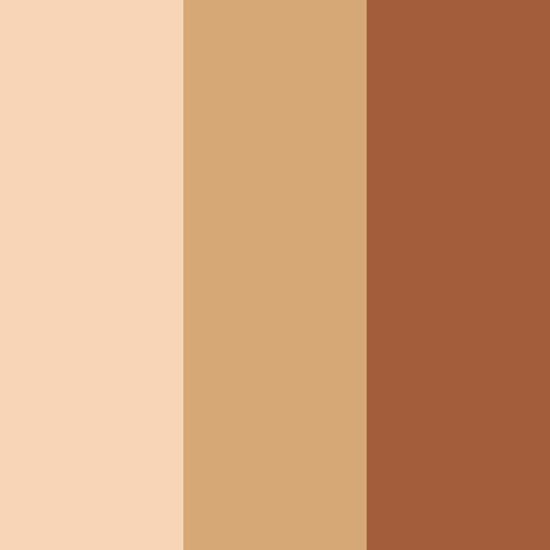 Download cinnamon sunrise color palette PNG image (square)