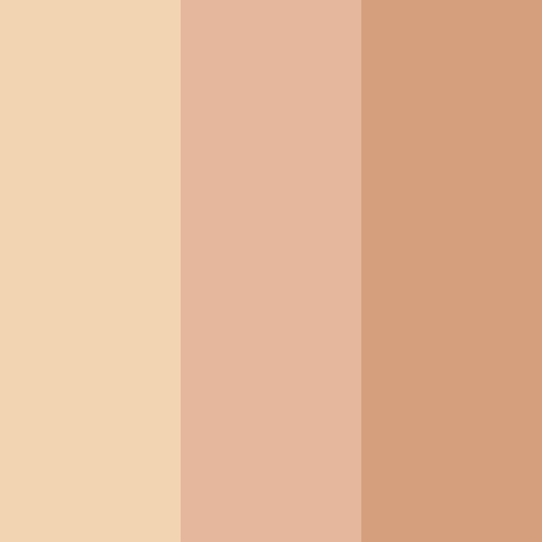 Download warm embrace color palette PNG image (square)