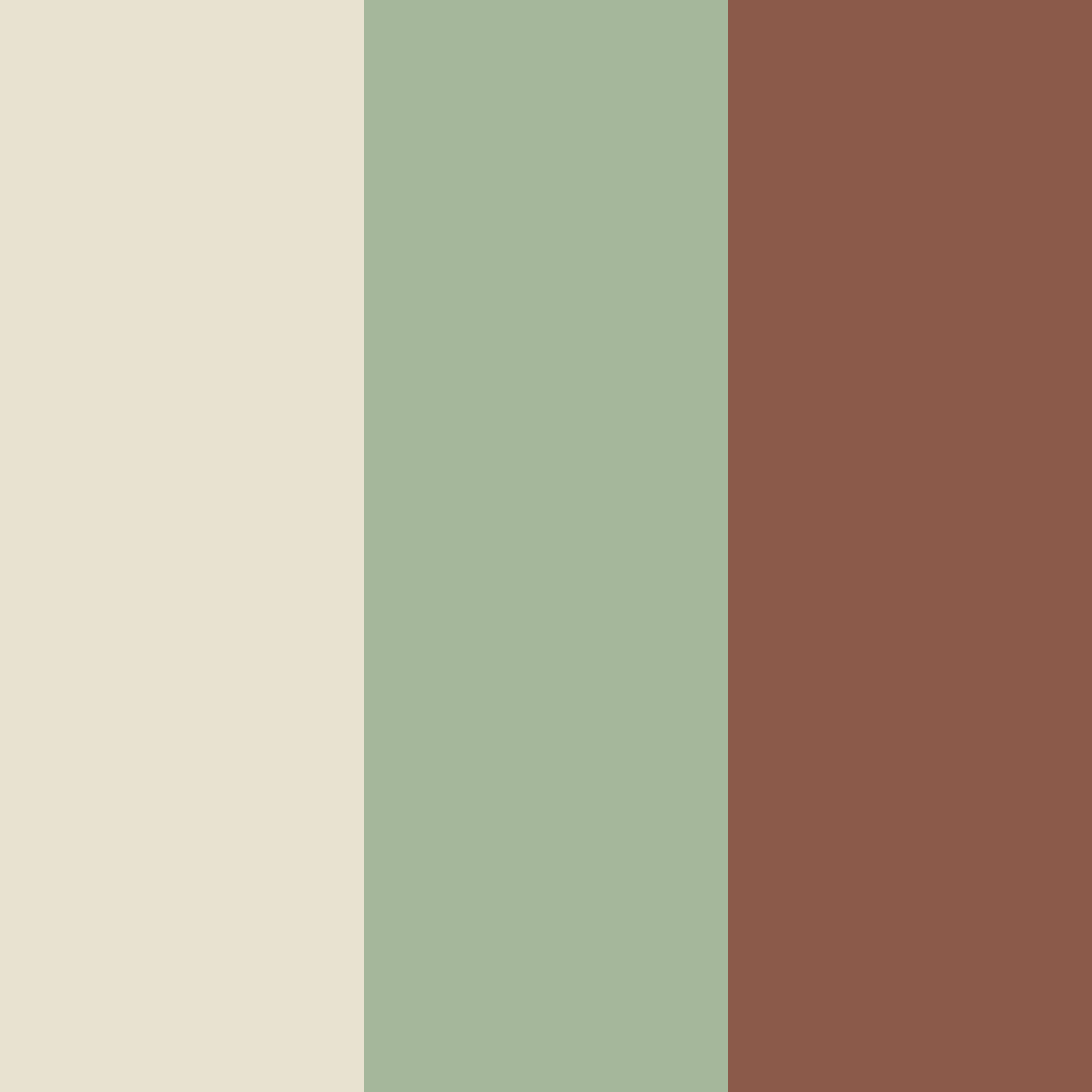 Download muted terracotta color palette PNG image (square)