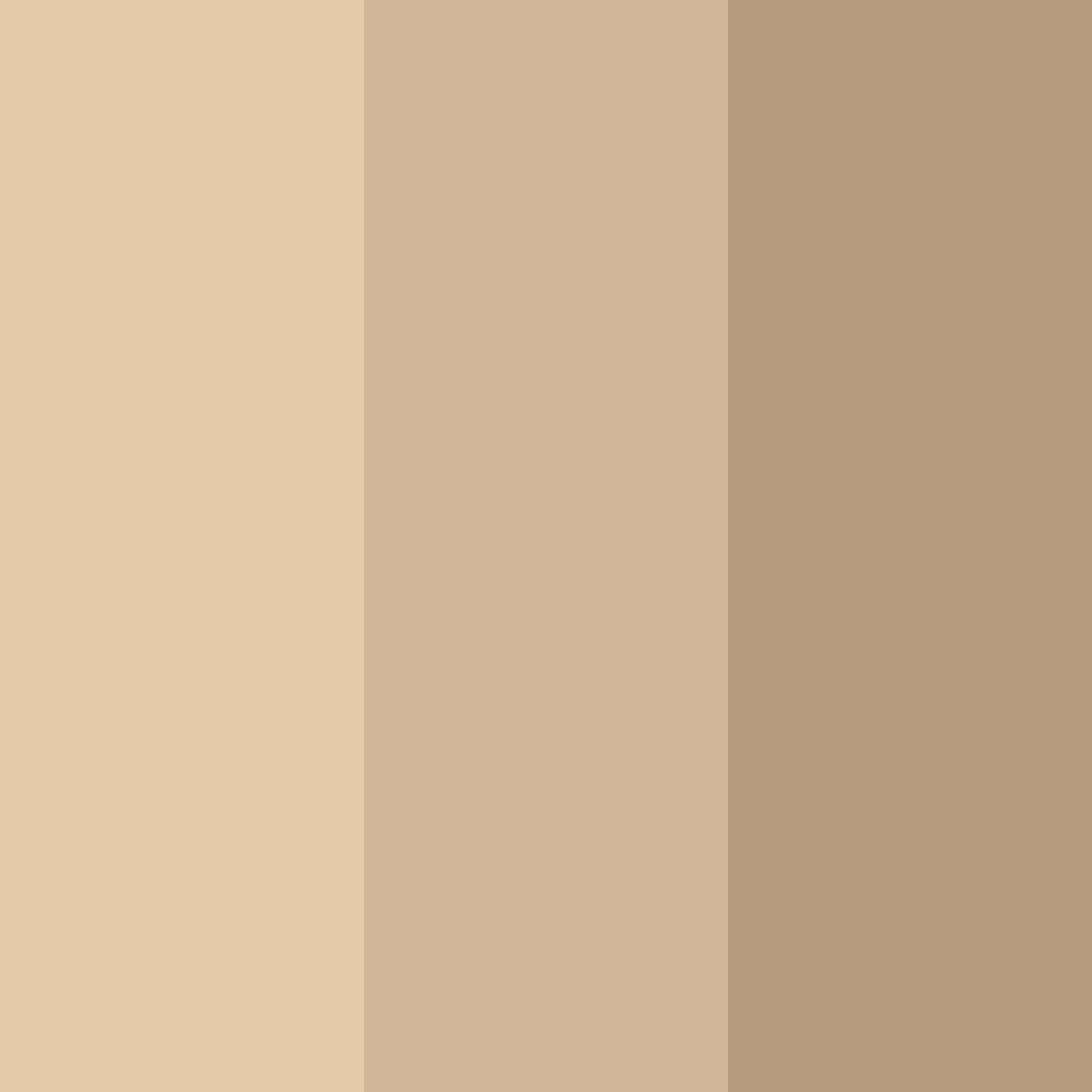 Download warm woolen embrace color palette PNG image (square)
