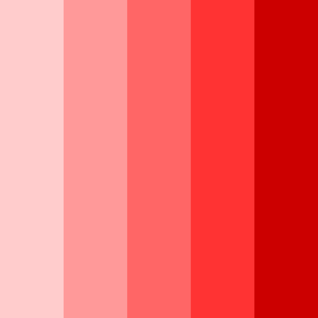Download cherry blossom bliss color palette PNG image (square)