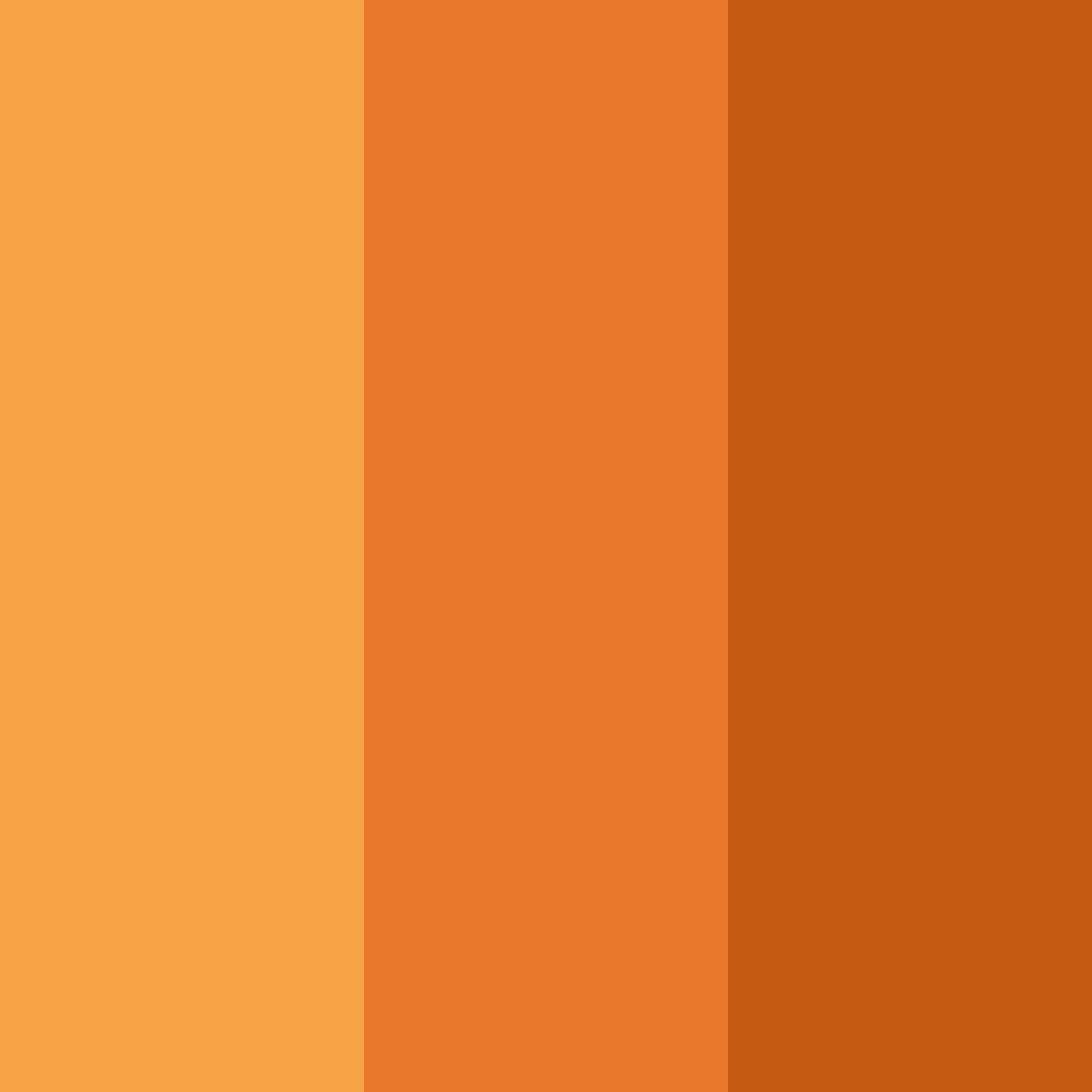 Download sunny tigris color palette PNG image (square)