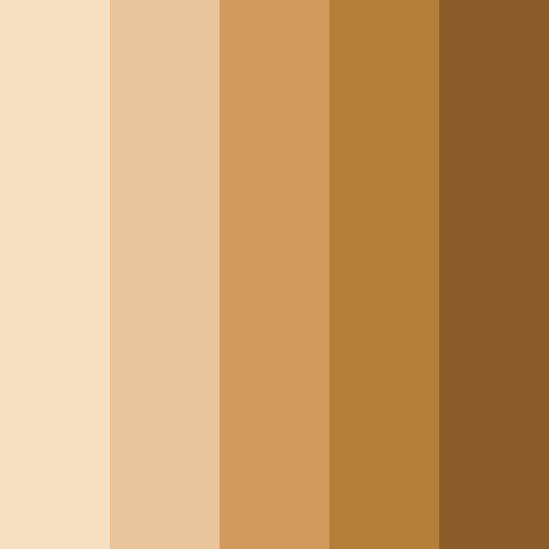 Download warm tan color palette PNG image (square)