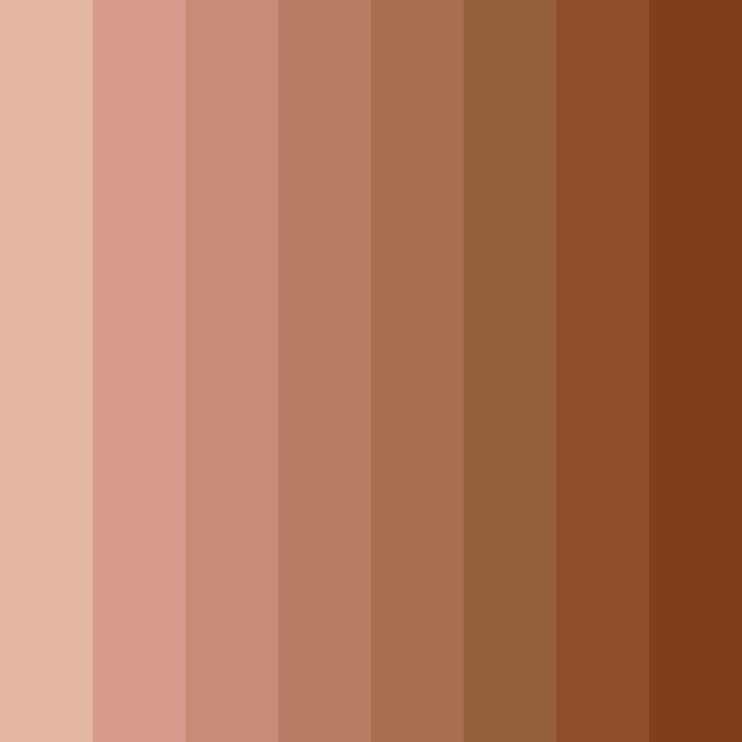 Download terracotta sunset color palette PNG image (square)