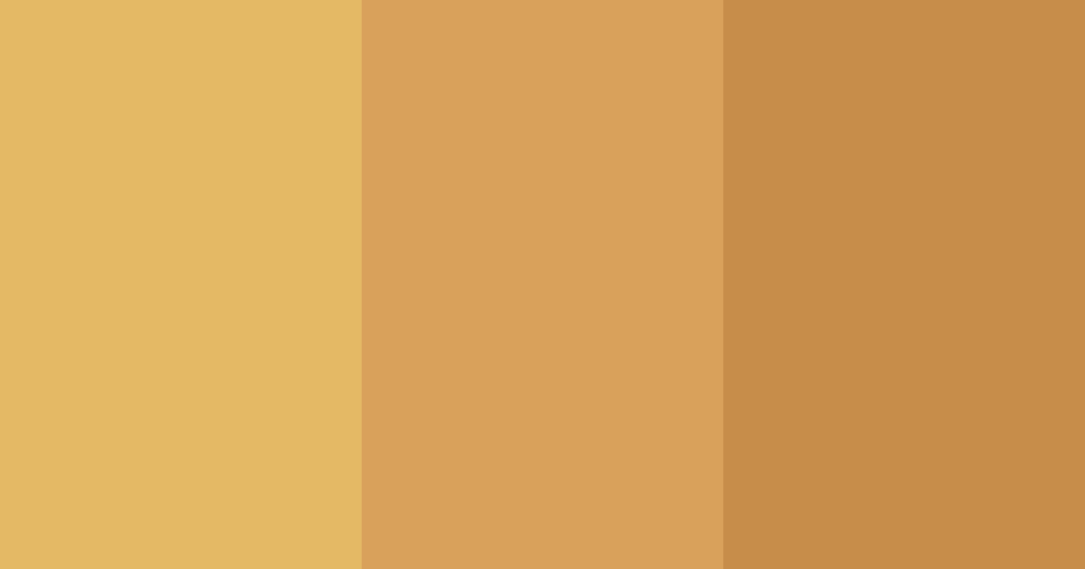 Download seaside stroll color palette PNG image (landscape)