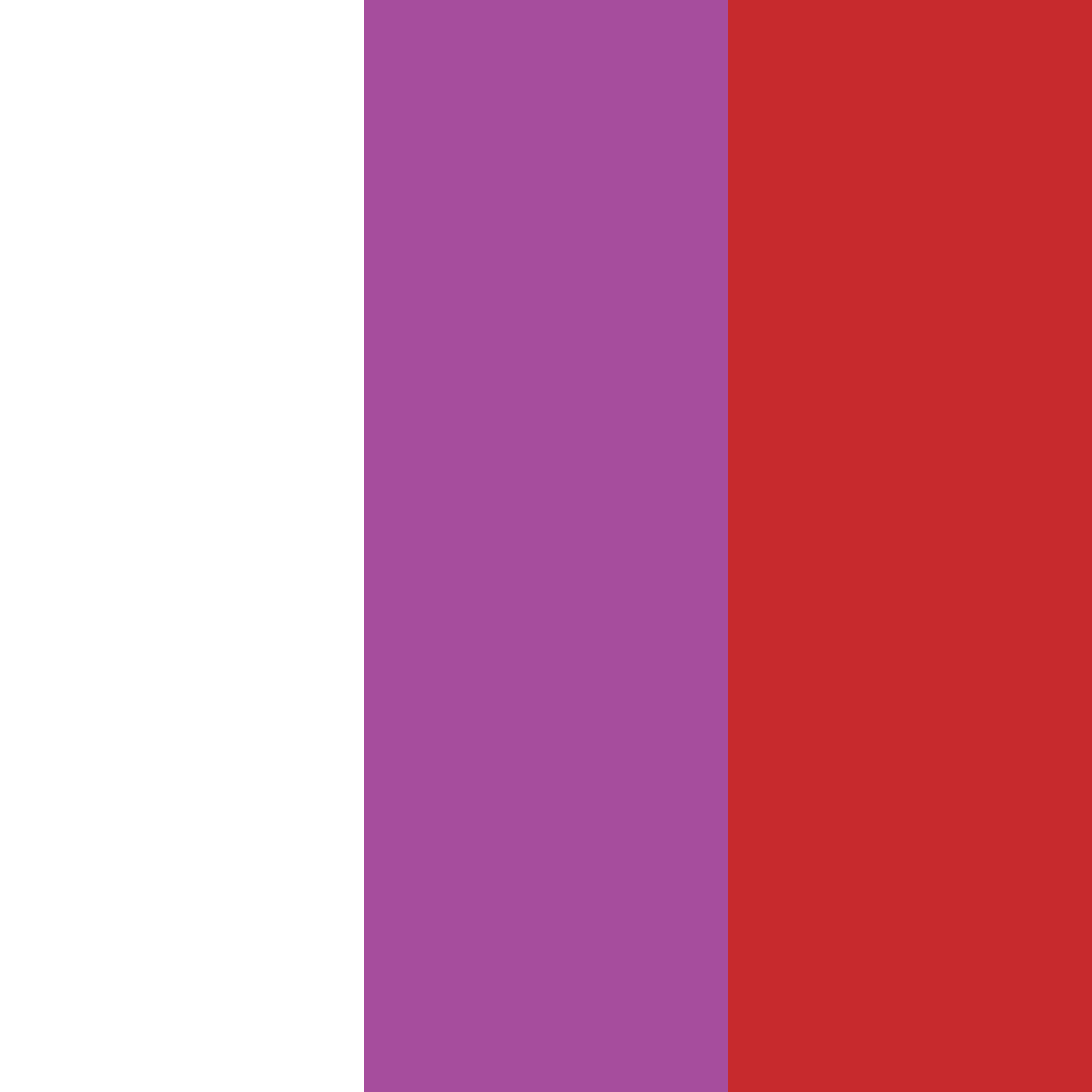 Download royal blossom color palette PNG image (square)