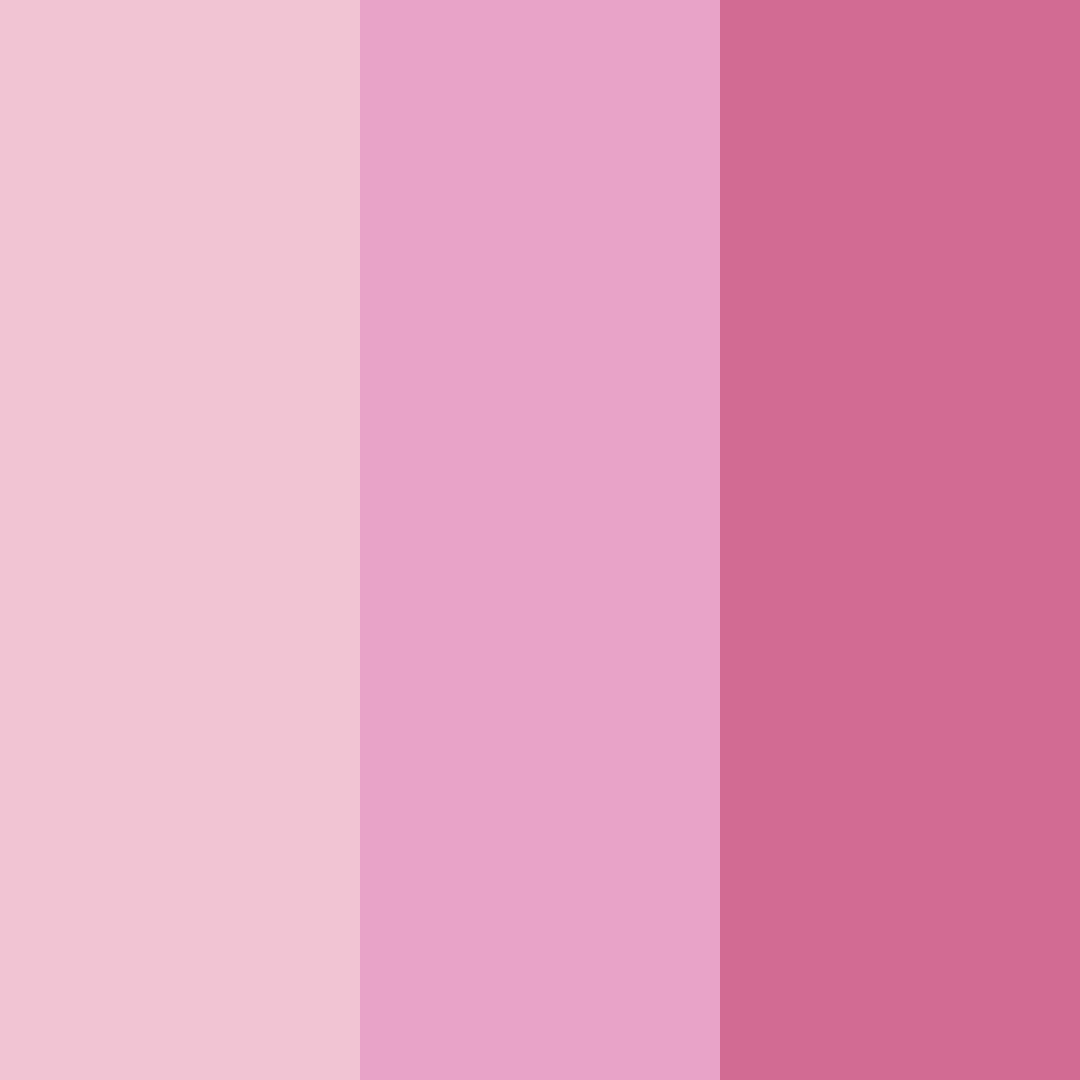 Download pink floral color palette PNG image (square)