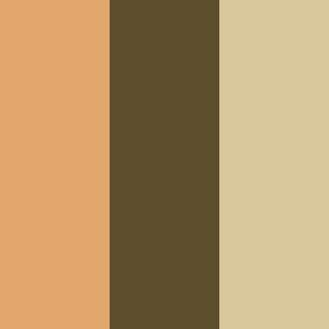 Download copper olive cream color palette PNG image (square)