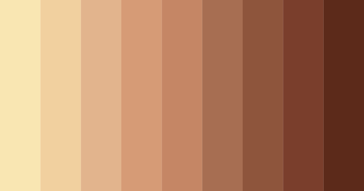 Download brown shades color palette PNG image (landscape)