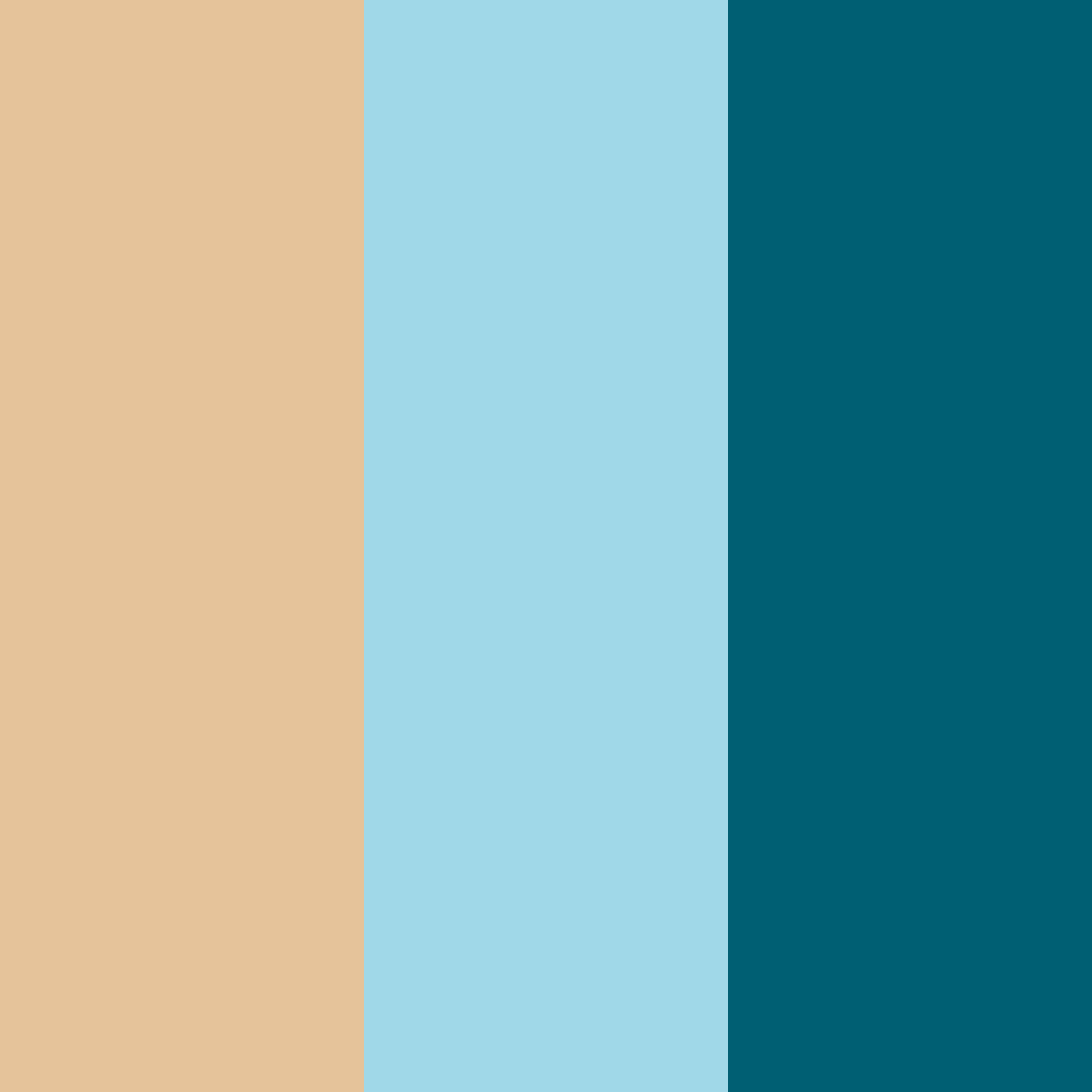 Download coastal serenity color palette PNG image (square)