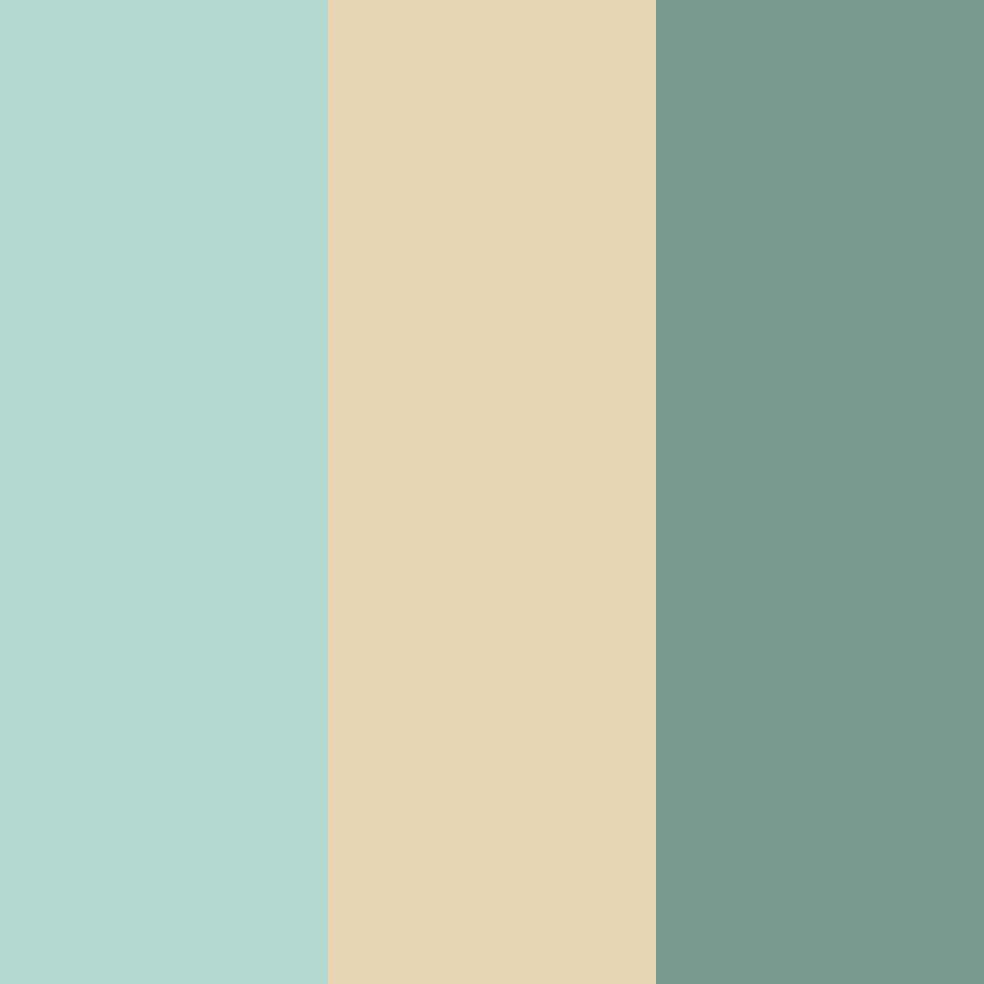 Download coastal canopy color palette PNG image (square)