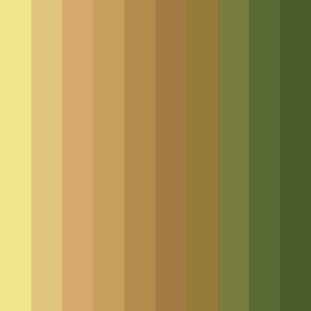 Download sunlit harvest color palette PNG image (square)