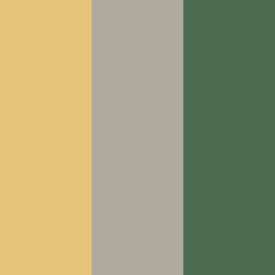 Download golden mistwood harmony color palette PNG image (square)