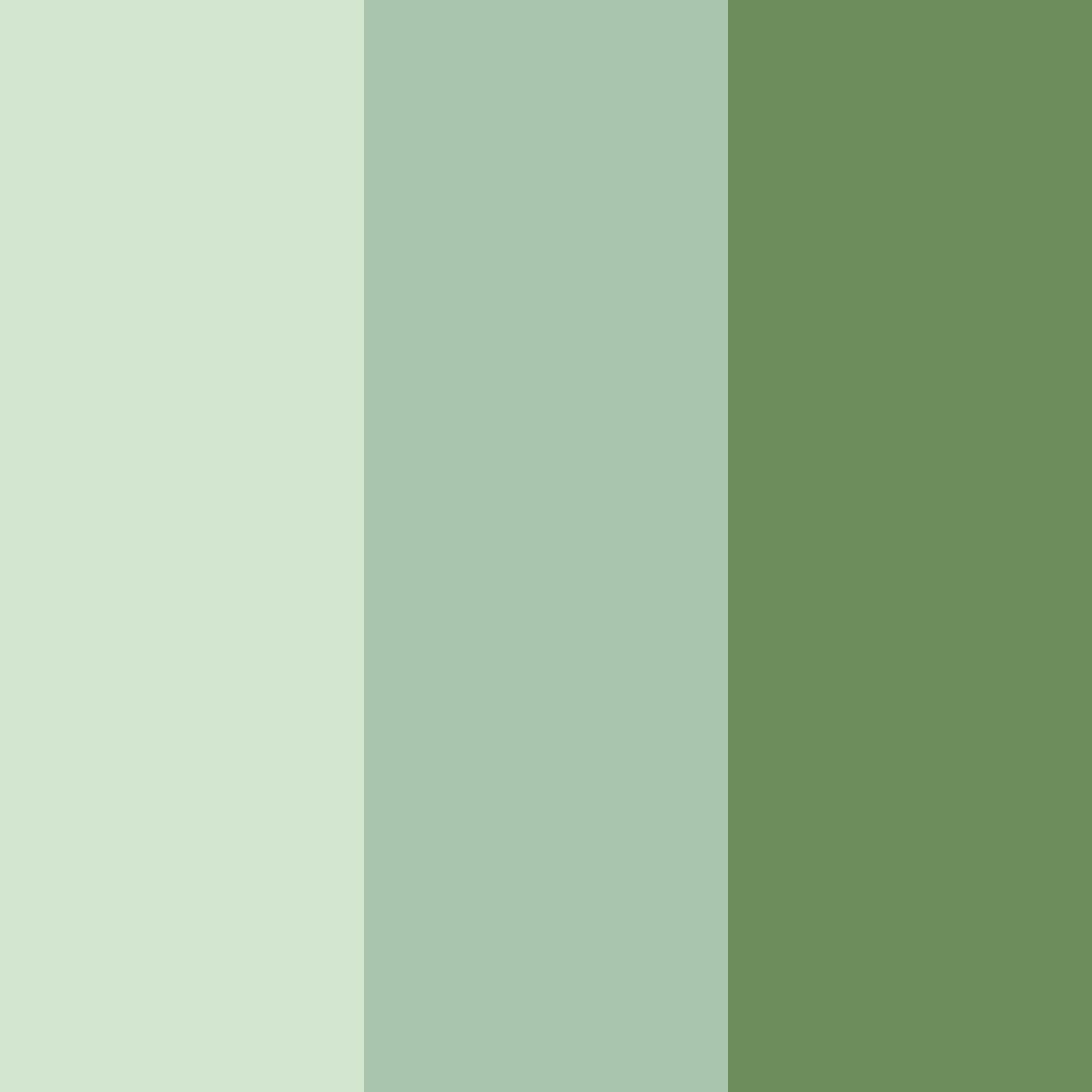 Download whispering grove color palette PNG image (square)