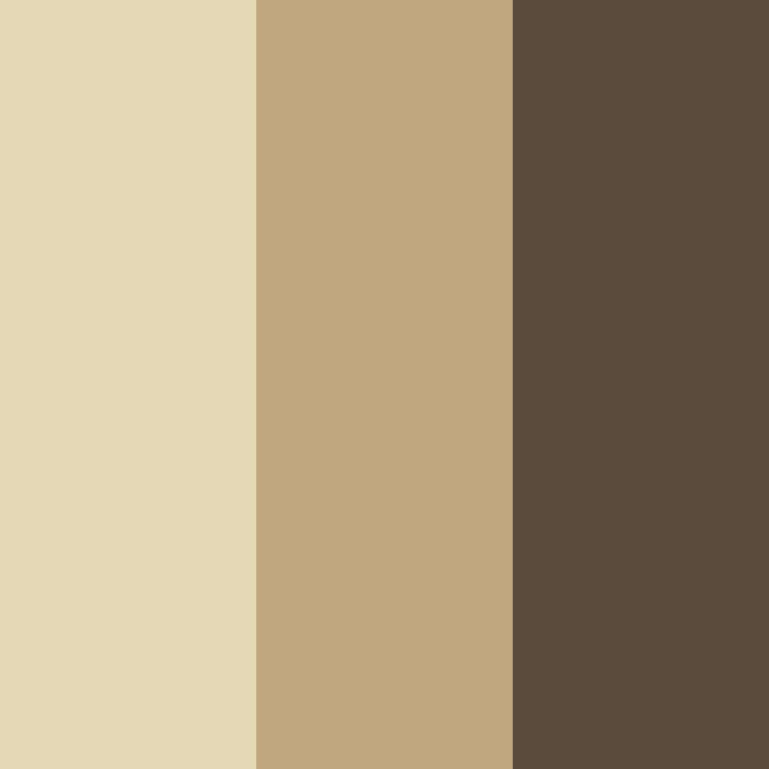 Download creamy earth color palette PNG image (square)
