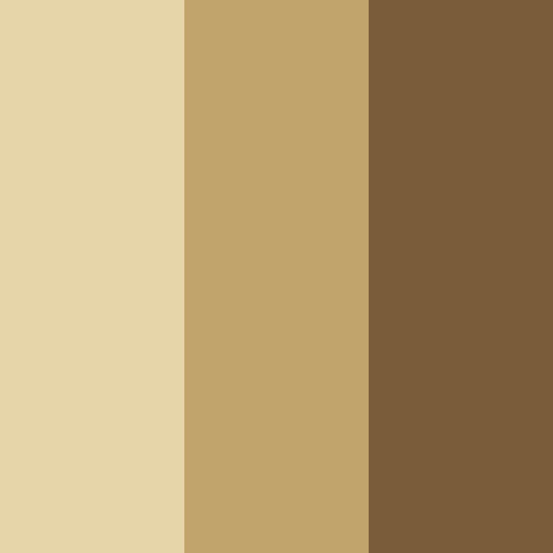 Download creamy earth color palette PNG image (square)