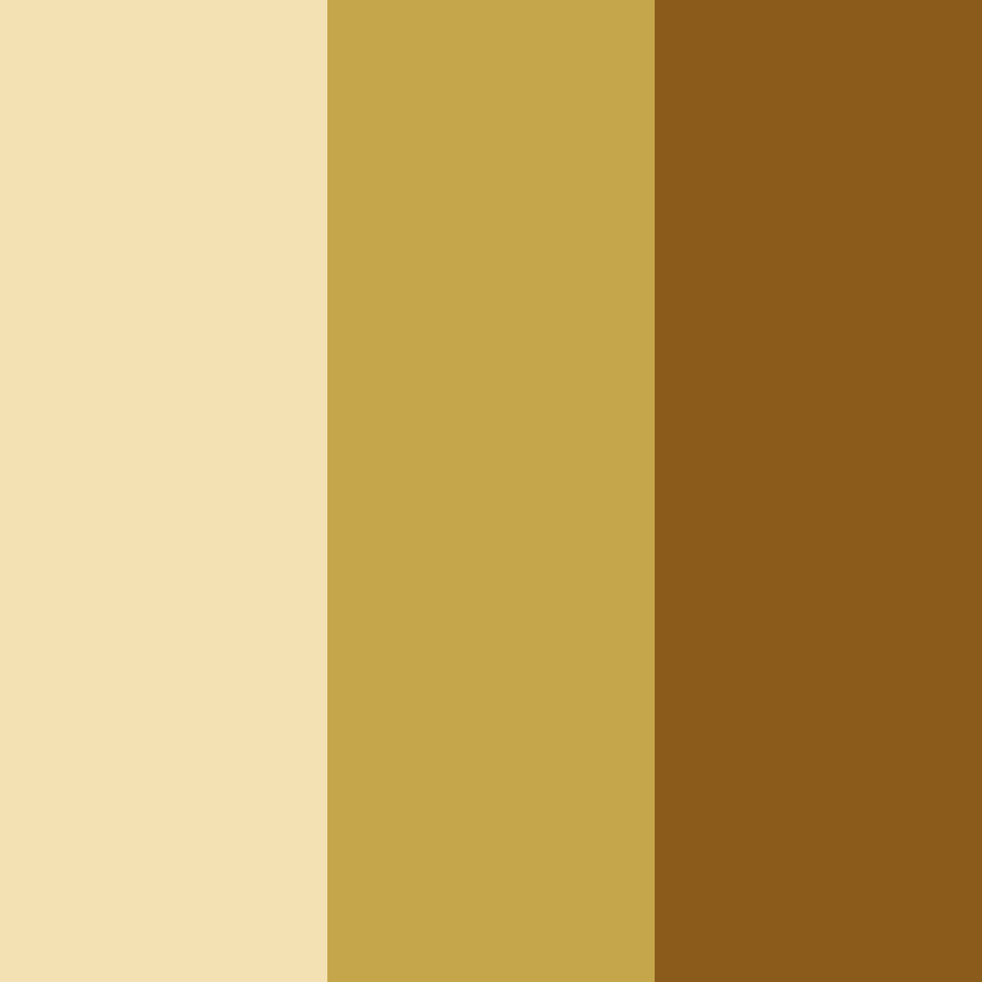 Download creamy earth color palette PNG image (square)