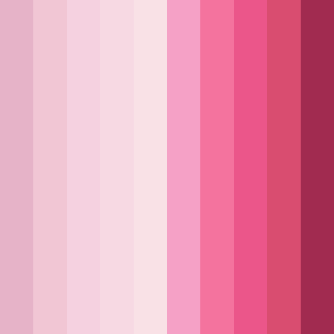 Download pink miguel color palette PNG image (square)
