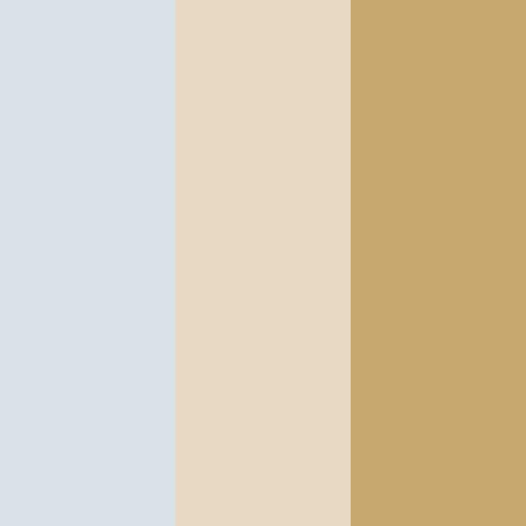 Download mist and meadow color palette PNG image (square)