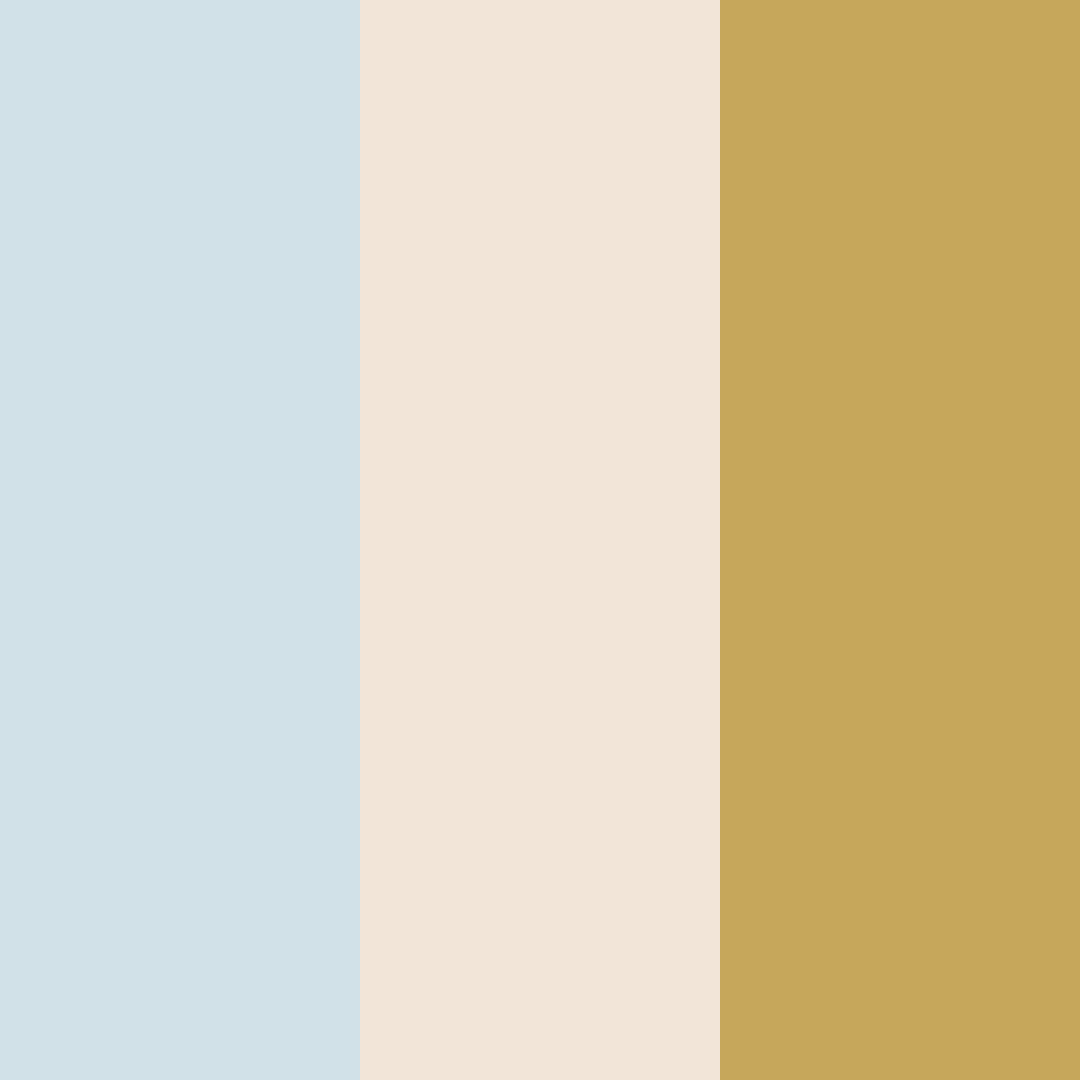 Download soft blue beige color palette PNG image (square)