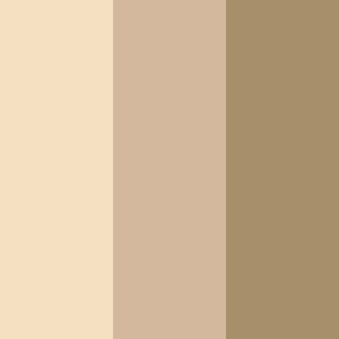 Download beige dream color palette PNG image (square)