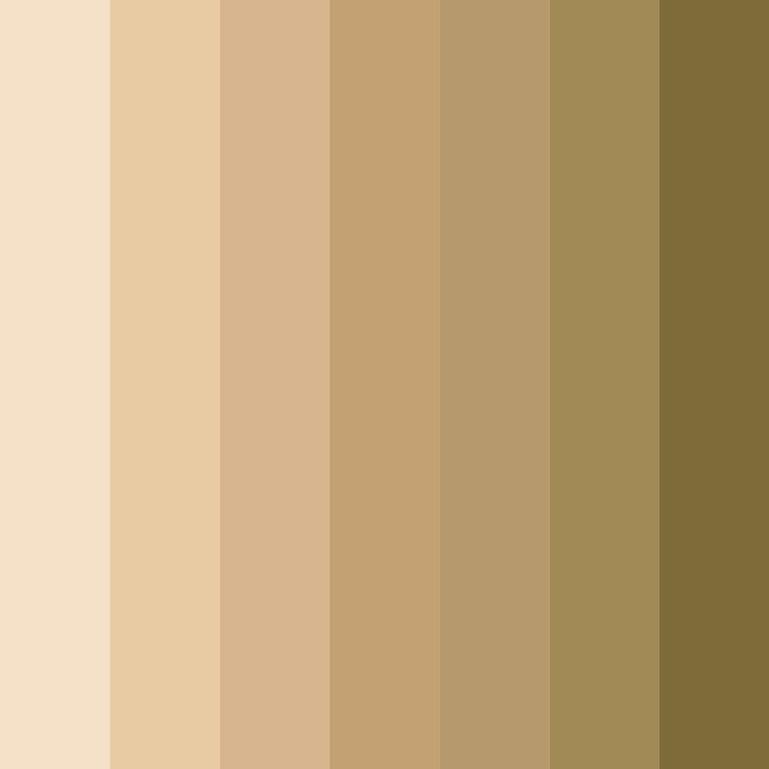 Download beige delight color palette PNG image (square)