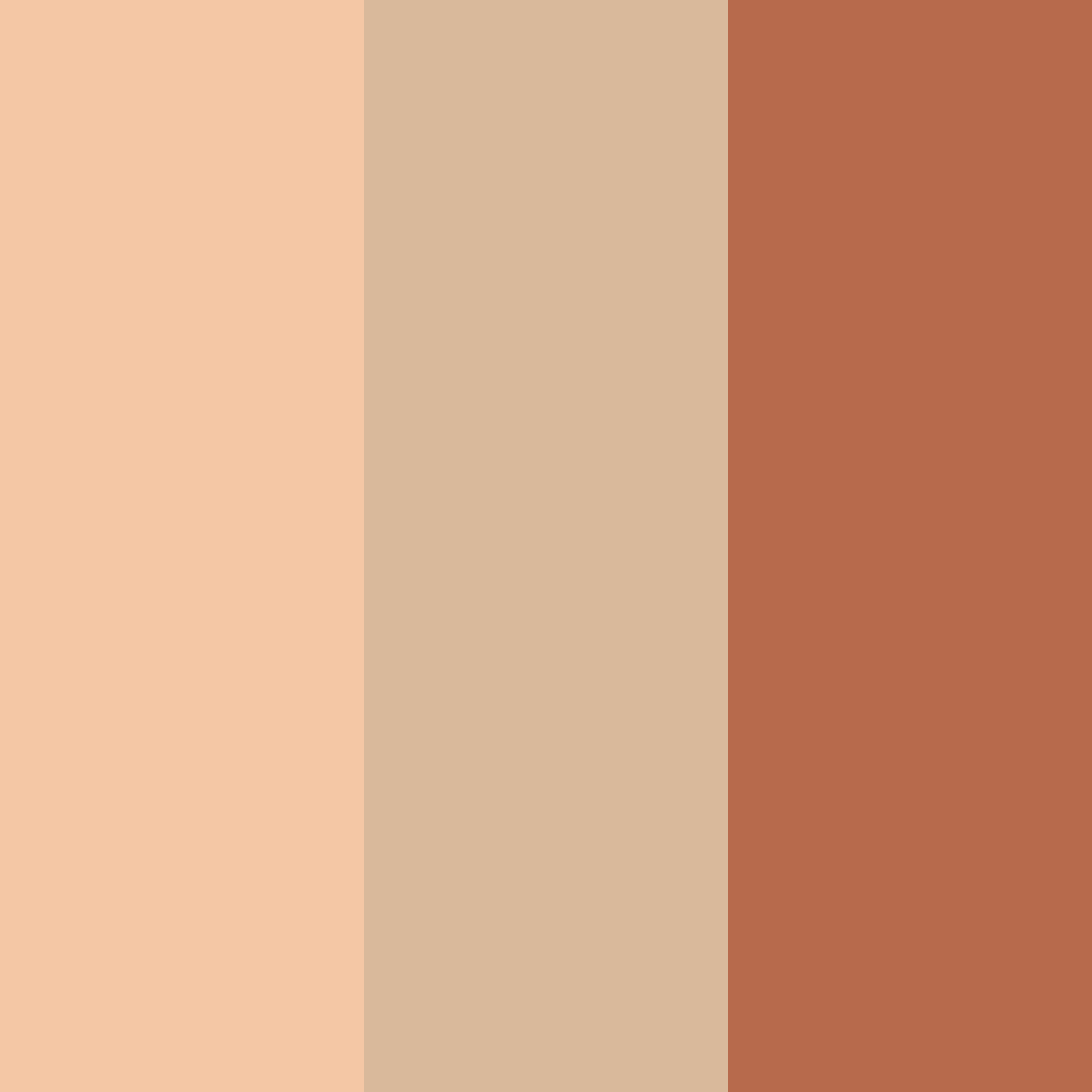 Download warm peach color palette PNG image (square)